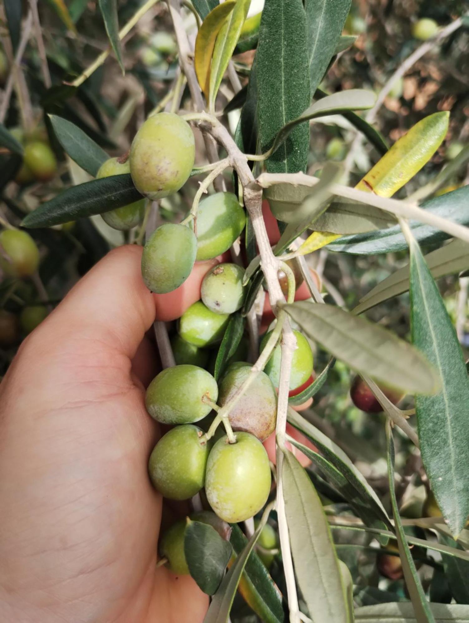 Il Punto Verde Sant'Antonio  Bagian luar foto