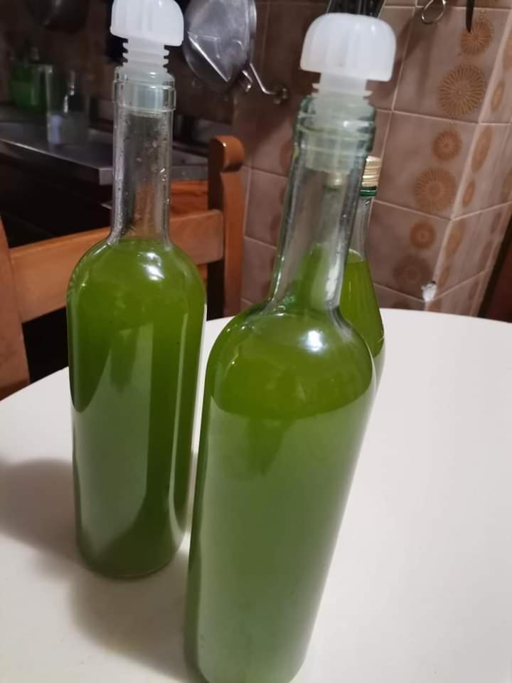 Il Punto Verde Sant'Antonio  Bagian luar foto